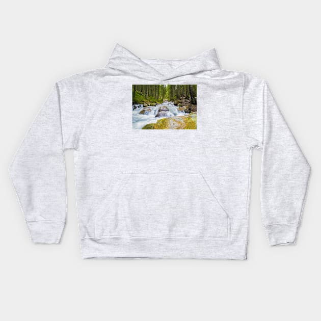 Prut river Kids Hoodie by psychoshadow